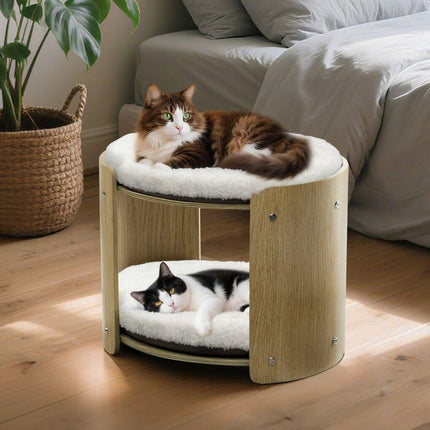 Furniture Cartoz.