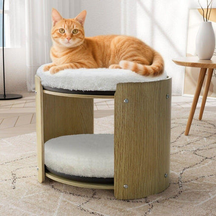 Furniture Cartoz.
