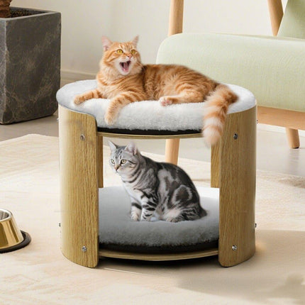 Furniture Cartoz.