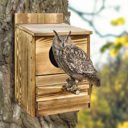 Owl Nesting Box Bird Feeder Paulownia Wood Acrylic.