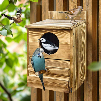 Owl Nesting Box Bird Feeder Paulownia Wood Acrylic.