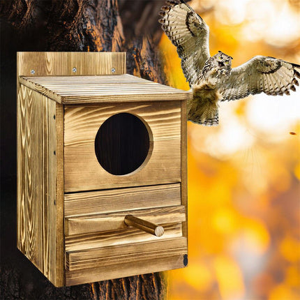 Owl Nesting Box Bird Feeder Paulownia Wood Acrylic.