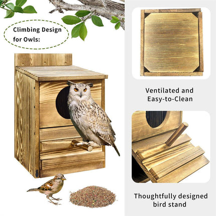 Owl Nesting Box Bird Feeder Paulownia Wood Acrylic.