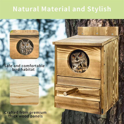 Owl Nesting Box Bird Feeder Paulownia Wood Acrylic.