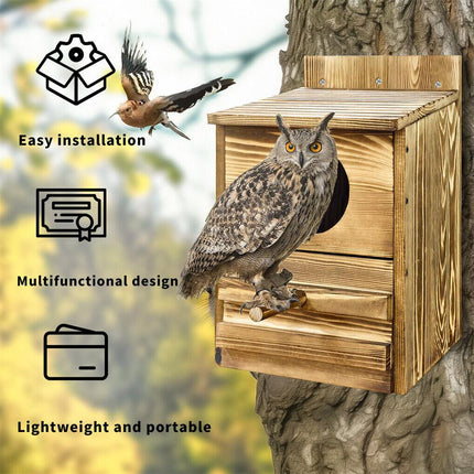 Owl Nesting Box Bird Feeder Paulownia Wood Acrylic.