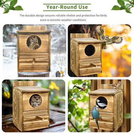 Owl Nesting Box Bird Feeder Paulownia Wood Acrylic.