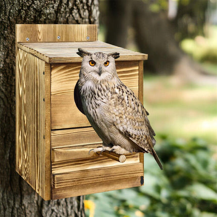 Owl Nesting Box Bird Feeder Paulownia Wood Acrylic.