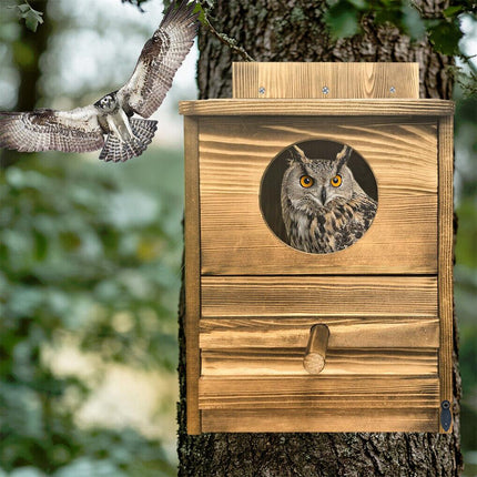 Owl Nesting Box Bird Feeder Paulownia Wood Acrylic.