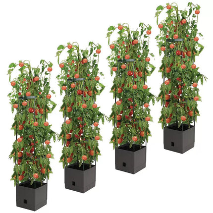 Tomato Tower With 3 Tier Frame 4 x Pack.