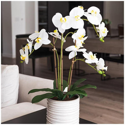 Artificial Orchid With Ribbed Pot 67cm.