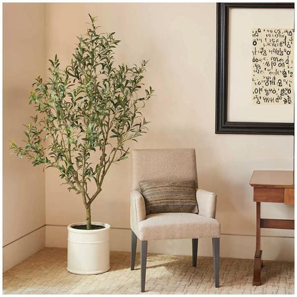 Artificial Olive Tree In French Crock Pot 2M.