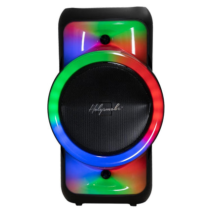 Holysmoke Raphe Bluetooth TWS Party Speaker 12" Portable.