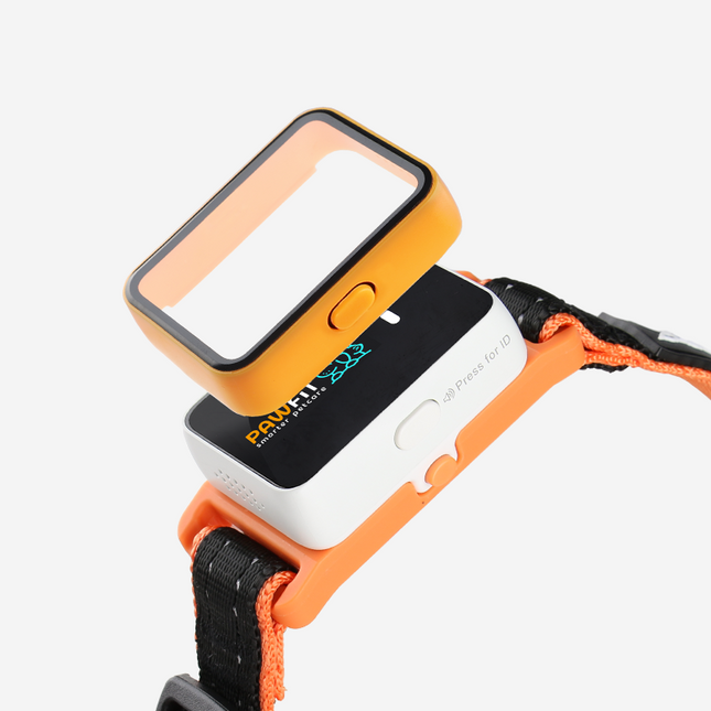 Pawfit 3 Case Orange.