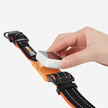 Pawfit 3 Collar Small (tracker not included).
