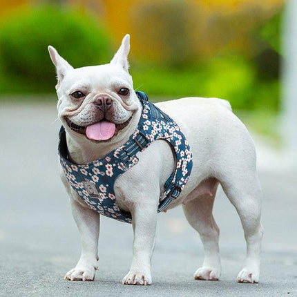 Floral Doggy Harness Saxony Blue XS.