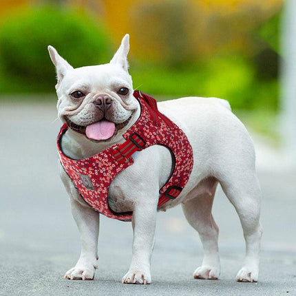 Floral Doggy Harness Red 3XS.