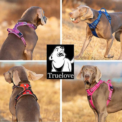 No Pull Harness Blue M.
