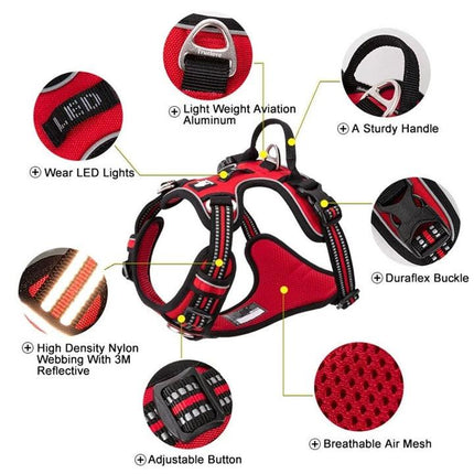 No Pull Harness Blue M.