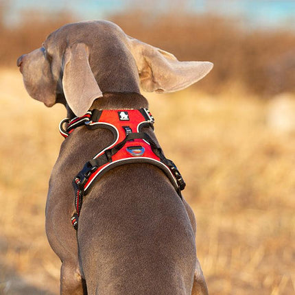 No Pull Harness Red M.