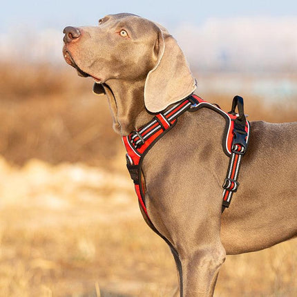 No Pull Harness Red S.