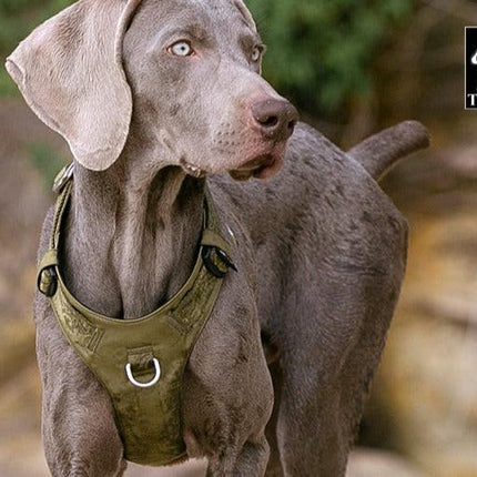 Lightweight Harness Army Green M.