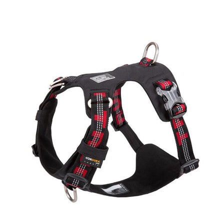 Lightweight 3M reflective Harness Black XL.