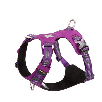 Auto Accessories > Auto Accessories Others > Automotive Repair & Speciality Tools.