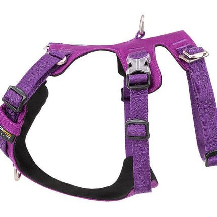 Whinhyepet Harness Purple L.