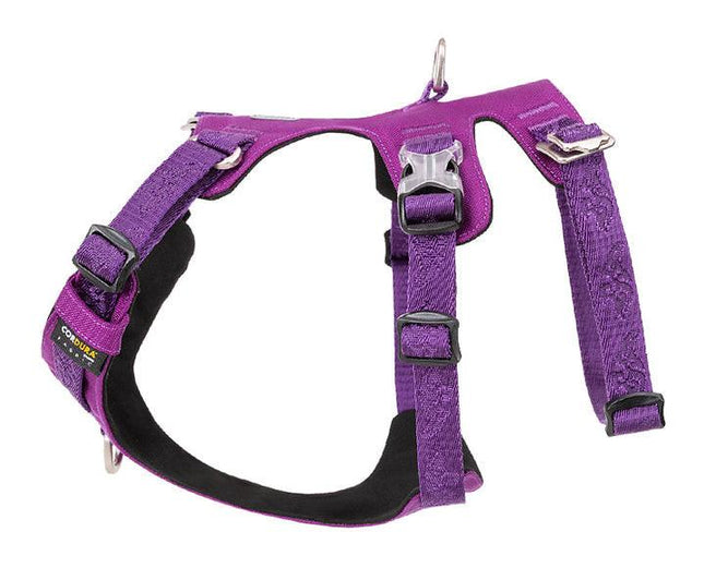 Whinhyepet Harness Purple XL.
