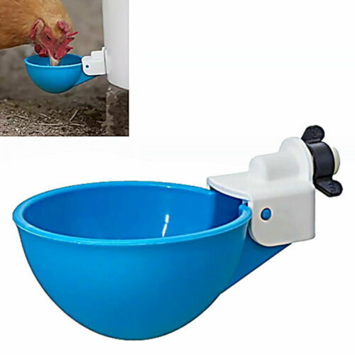 Pet Care.