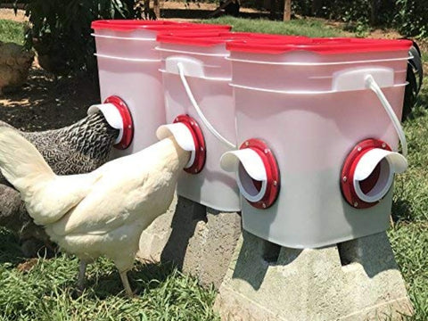 Cheeky Chooka DIY Poultry Feeder Port 4pk.