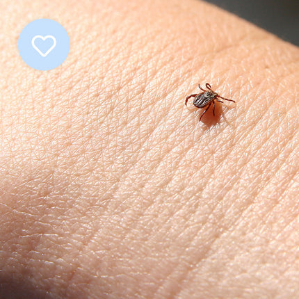 Mitey Tick Off For You Electronic Tick Repeller.