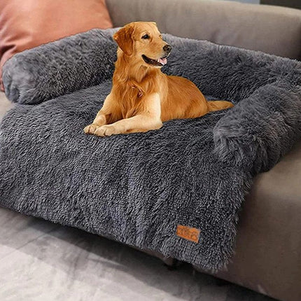 Furniture Cartoz.