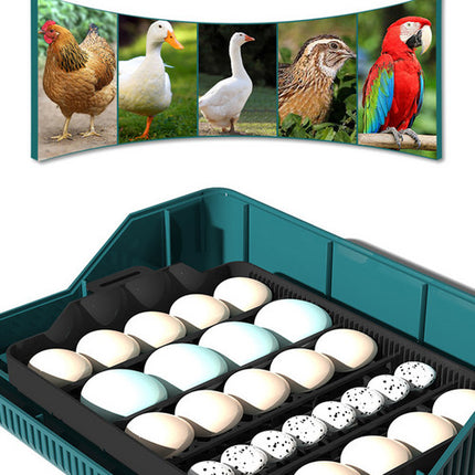 Digital Led Fully Automatic 25 Egg Incubator Hatch Turning Chicken Eggs Poultry.