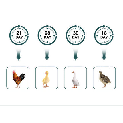Digital Led Fully Automatic 25 Egg Incubator Hatch Turning Chicken Eggs Poultry.
