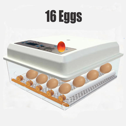 16 Egg Incubator Fully Automatic Digital Thermostat Chicken Eggs Poultry.