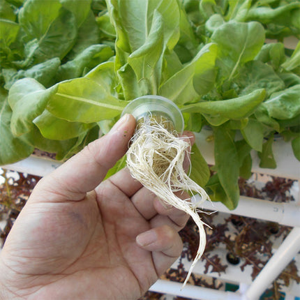 108 Plant Sites Hydroponic Grow Tool Kit Vegetable Garden Hydroponic Grow System.