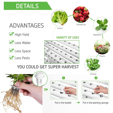 36 Sites Hydroponic Grow Tool Kits Vegetable Garden System 220V Water Pump.