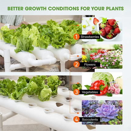 36 Sites Hydroponic Grow Tool Kits Vegetable Garden System 220V Water Pump.