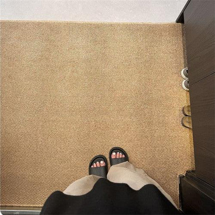 Ordinary Entrance Door Carpet 120x80cm Sole Cleaning Mats Sand and Dust Removal Washable.