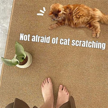 Ordinary Entrance Door Carpet 120x80cm Sole Cleaning Mats Sand and Dust Removal Washable.