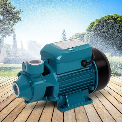 Electric PeripheralPump QB60 CleanWater Garden Farm RainTank Irrigation.