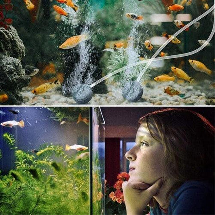 Solar Pond Pump Air Pump Solar Powered Pool Fish Tank Oxygenator Oxygen Aerator.