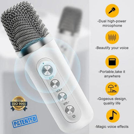 Sliver Karaoke Machine with 2 Wireless Microphones Bluetooth-Compatible 5.0 for Parties.
