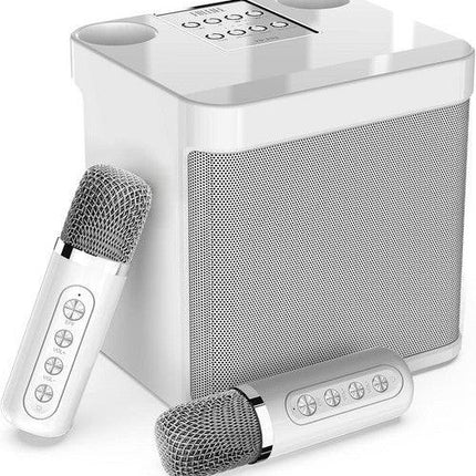 Sliver Karaoke Machine with 2 Wireless Microphones Bluetooth-Compatible 5.0 for Parties.