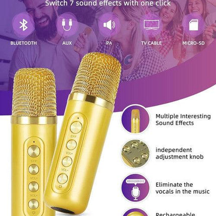 Gold Karaoke Machine with 2 Wireless Microphones Bluetooth-Compatible 5.0 for Parties.
