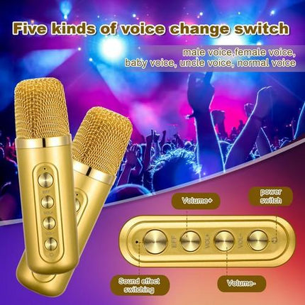 Gold Karaoke Machine with 2 Wireless Microphones Bluetooth-Compatible 5.0 for Parties.