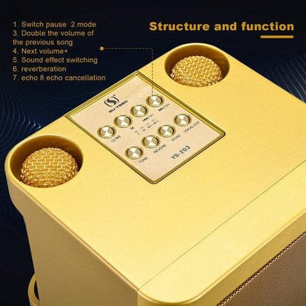 Gold Karaoke Machine with 2 Wireless Microphones Bluetooth-Compatible 5.0 for Parties.