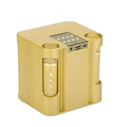 Gold Karaoke Machine with 2 Wireless Microphones Bluetooth-Compatible 5.0 for Parties.