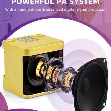 Gold Karaoke Machine with 2 Wireless Microphones Bluetooth-Compatible 5.0 for Parties.